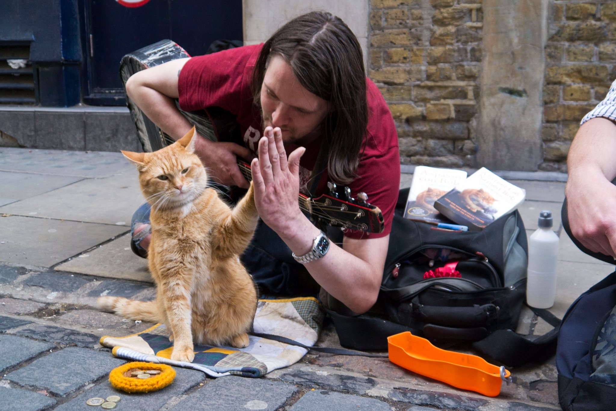 Street Cat Named <b>Bob</b>, A (2016)* .